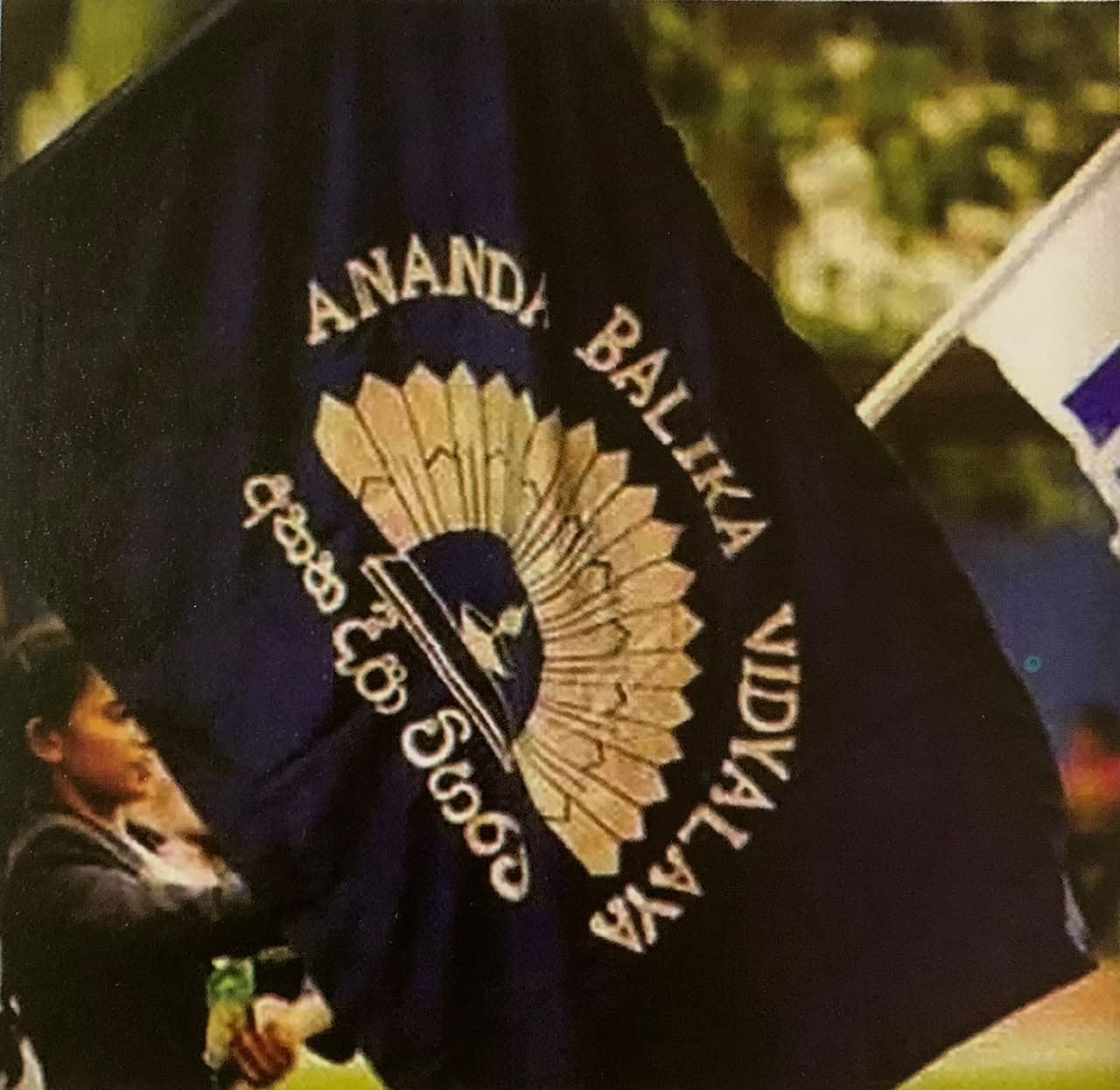 Ananda Balika Vidyalaya Flag (පාසල් කොඩිය)