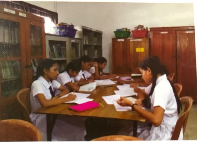 Development of the School Library
